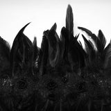 Gothic Asymmetrischer Federschal