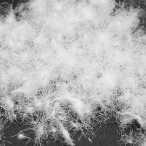 Original Design lange gotische Jacke für Frauen